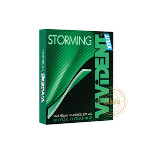 VIVIDENT STORMING GUM W MINT FLAVOR 33GR